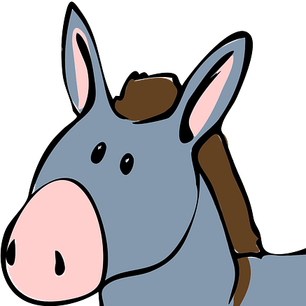 HSGuru